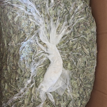 【产地直供】安徽阜阳甜叶菊自然晒干新货批发欢迎来电咨询