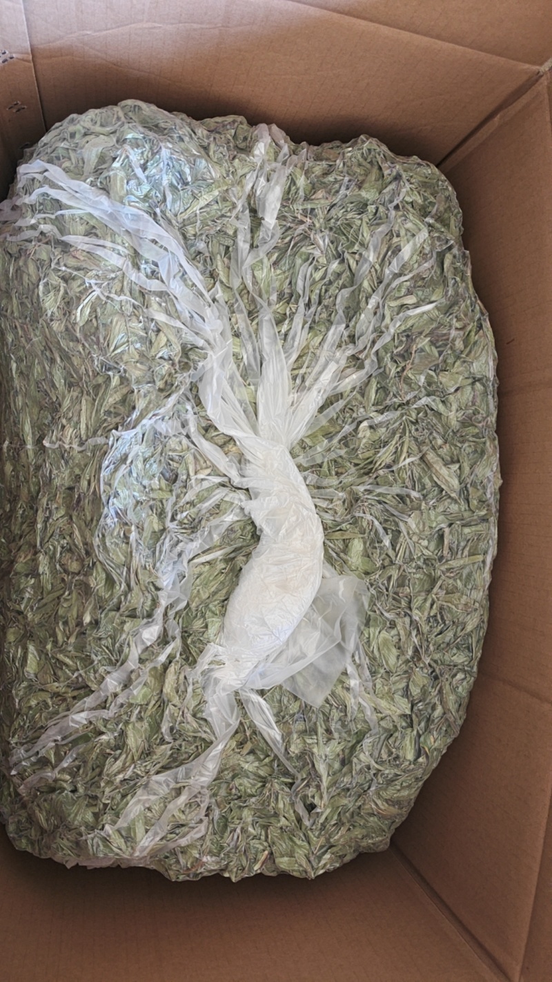 【产地直供】安徽阜阳甜叶菊自然晒干新货批发欢迎来电咨询