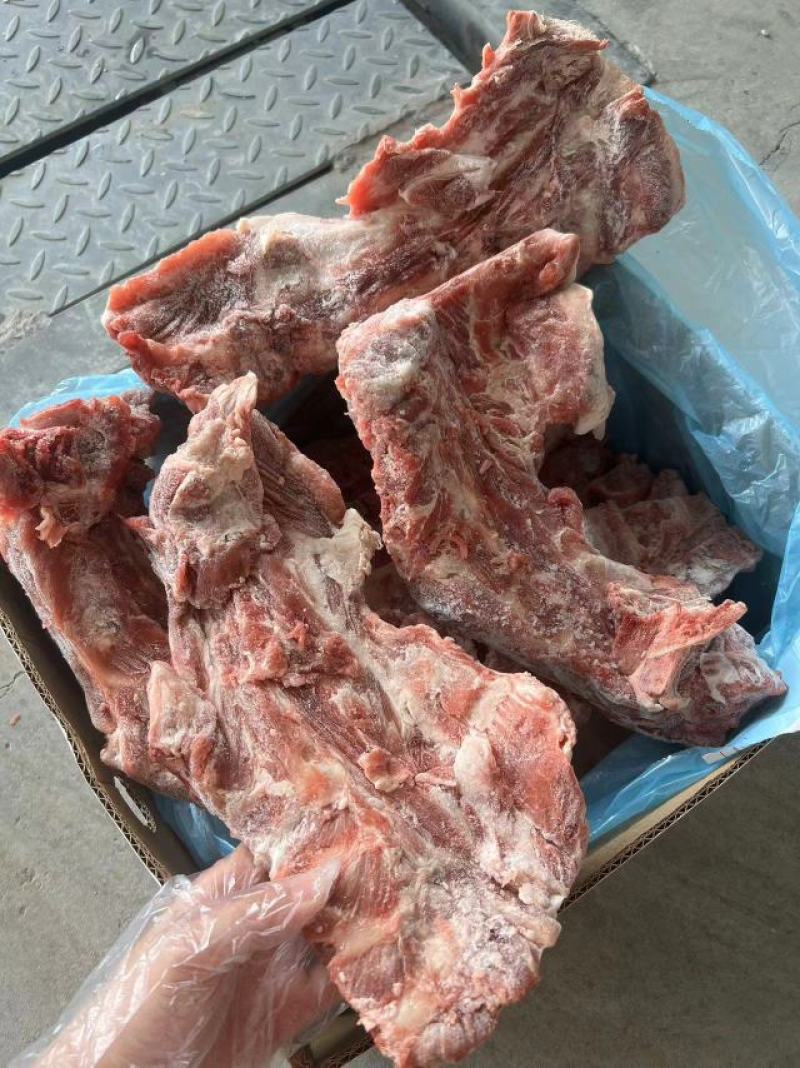 颈骨