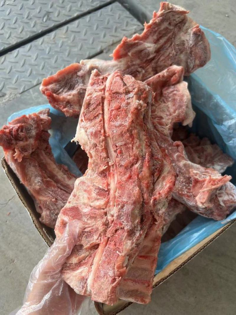 颈骨