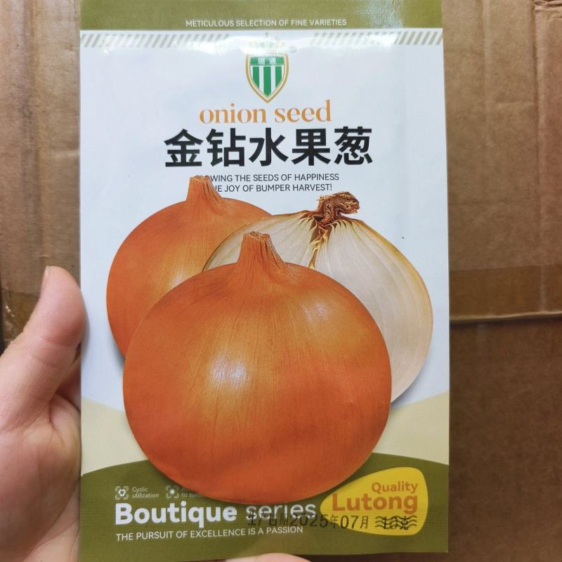 黄皮洋葱水果洋葱种籽金钻水果葱种子甜脆微辣黄皮圆葱种子