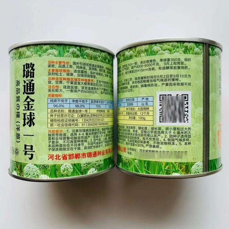 黄皮洋葱水果洋葱种籽金钻水果葱种子甜脆微辣黄皮圆葱种子