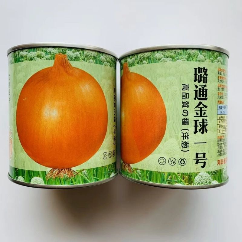 黄皮洋葱水果洋葱种籽金钻水果葱种子甜脆微辣黄皮圆葱种子