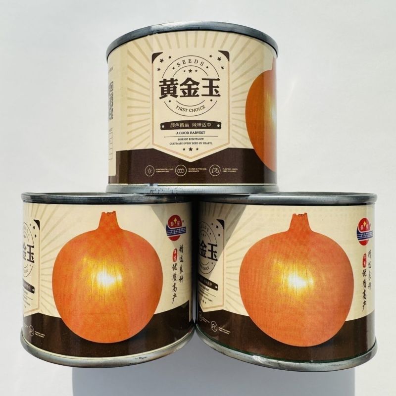 黄皮洋葱水果洋葱种籽金钻水果葱种子甜脆微辣黄皮圆葱种子