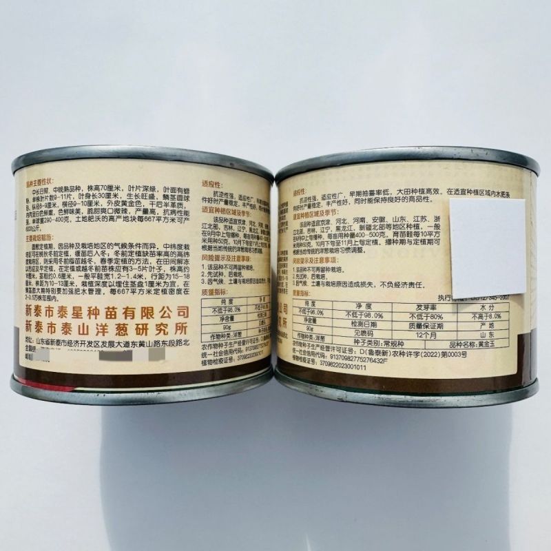 黄皮洋葱水果洋葱种籽金钻水果葱种子甜脆微辣黄皮圆葱种子