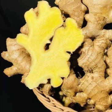 广东梅州农家姜大黄姜土姜