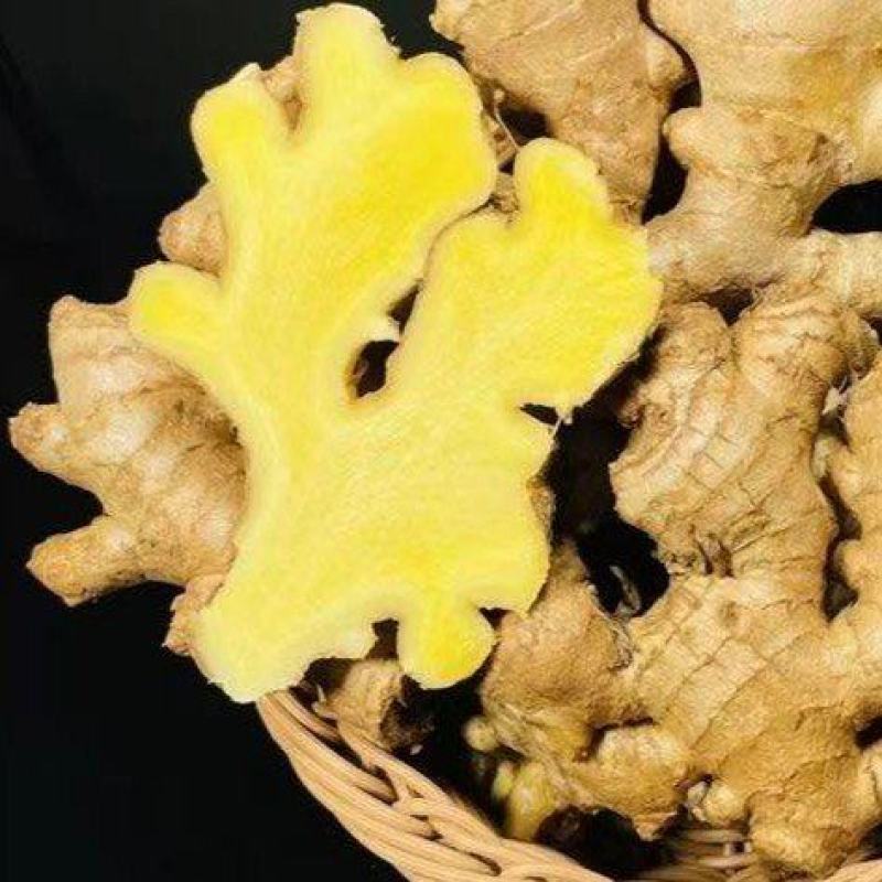 广东梅州农家姜大黄姜土姜