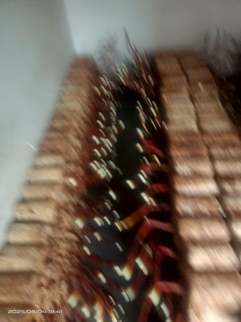 湖南鹿茸菌/精品鹿茸菌/量大从优价格美丽欢迎来电