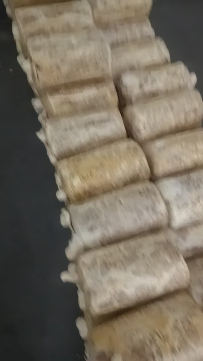 湖南鹿茸菌/精品鹿茸菌/量大从优价格美丽欢迎来电