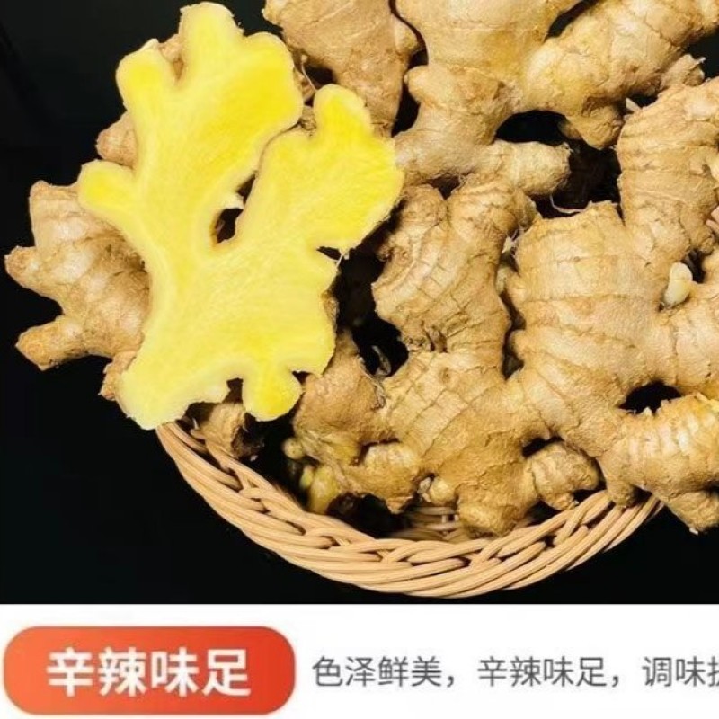 广东梅州农家姜大黄姜土姜