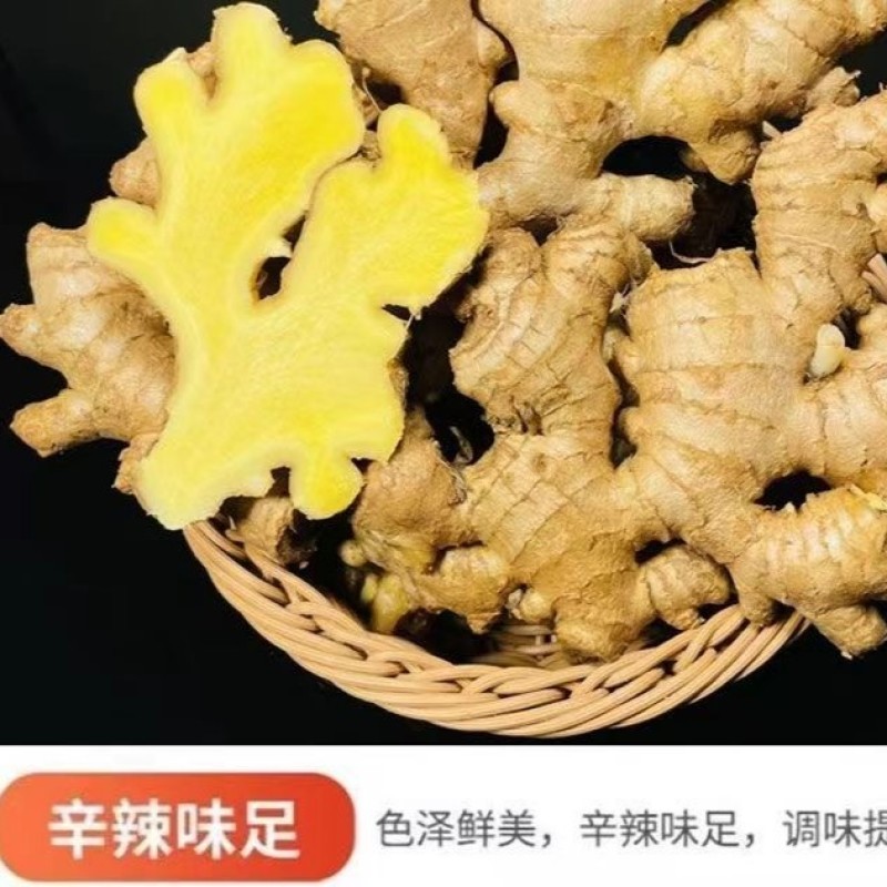 广东梅州农家姜大黄姜土姜