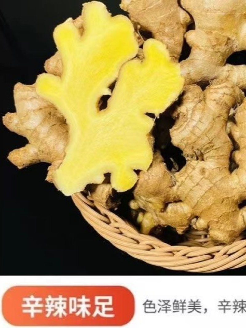 广东梅州农家姜大黄姜土姜