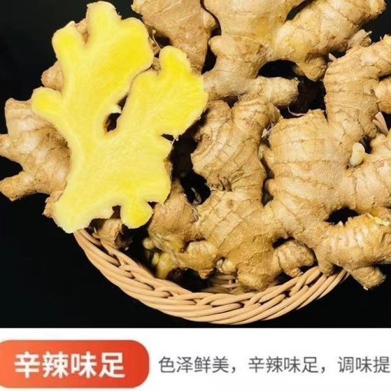 广东梅州农家姜大黄姜土姜