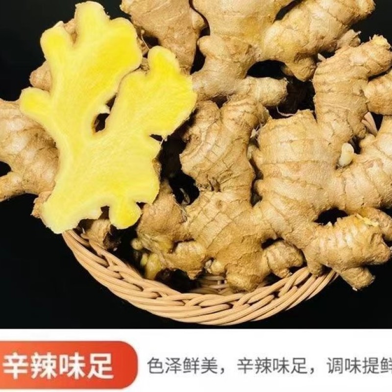 广东梅州农家姜大黄姜土姜