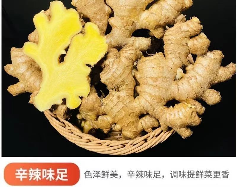 广东梅州农家姜大黄姜土姜