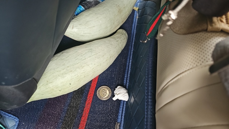 新疆贵族南瓜，南瓜中的爱马仕，口感甜蜜，回味无穷
