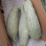新疆贵族南瓜，南瓜中的爱马仕，口感甜蜜，回味无穷