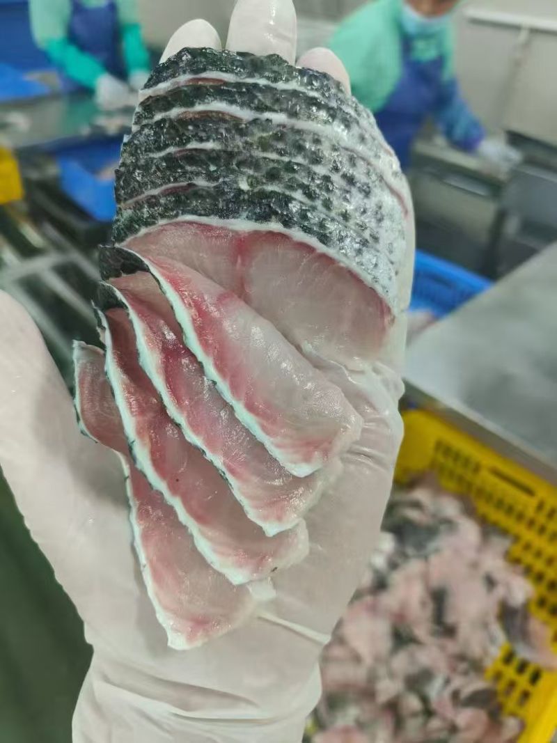 免浆无刺黑鱼片口感嫩滑久煮不松散商用，自用均可