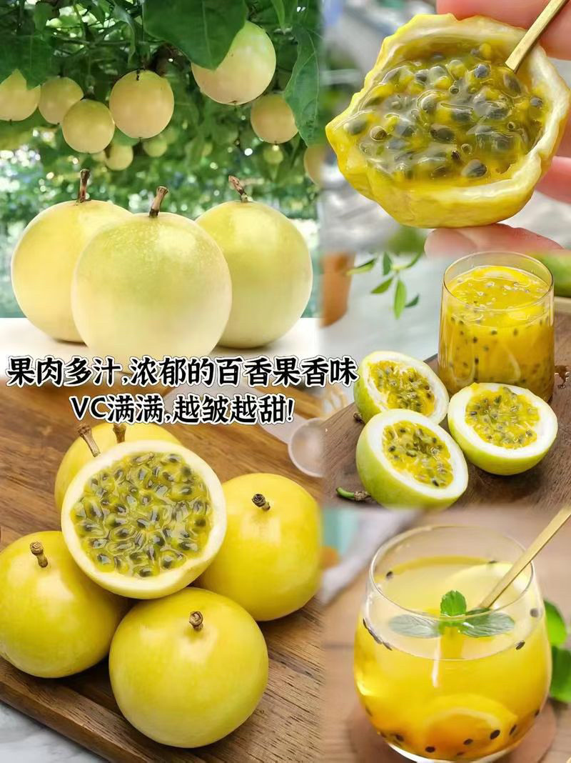 广西钦蜜9号百香果新鲜当季水果香甜多汁产地直发