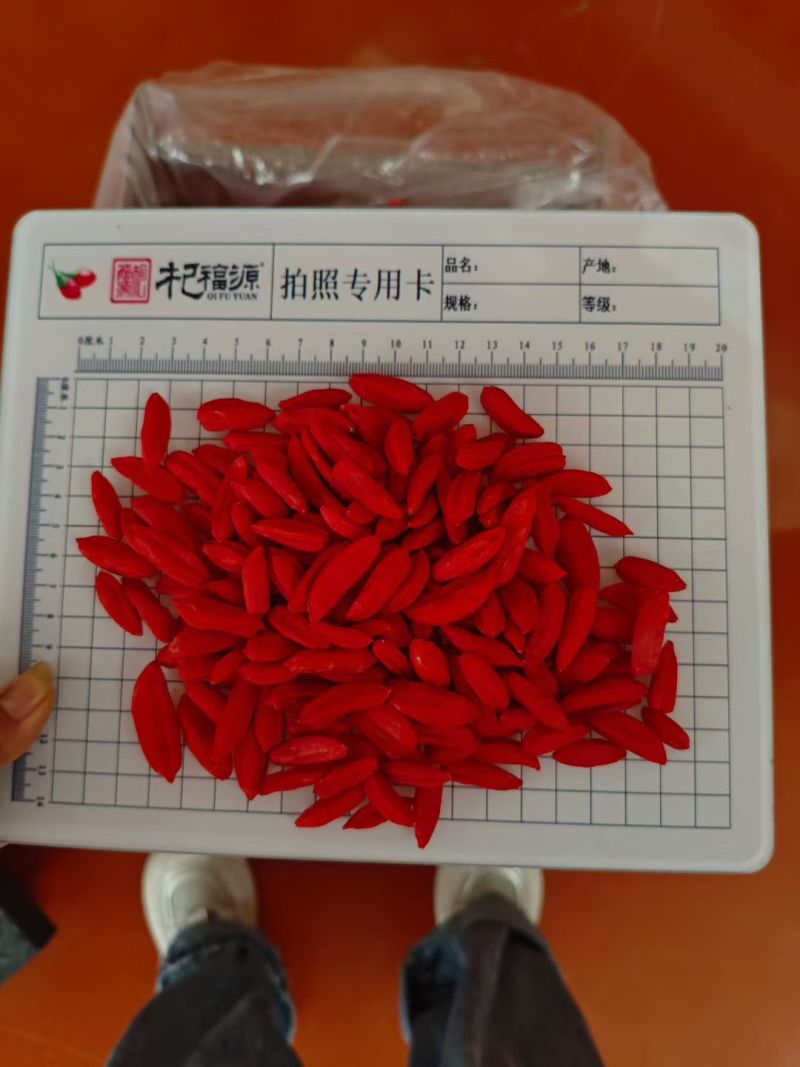 精选枸杞长期供货量大从优