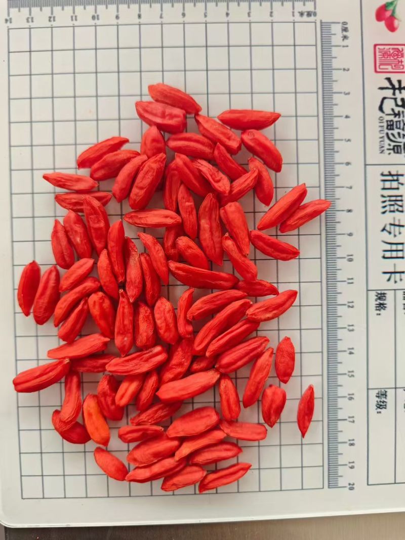 精选枸杞长期供货量大从优