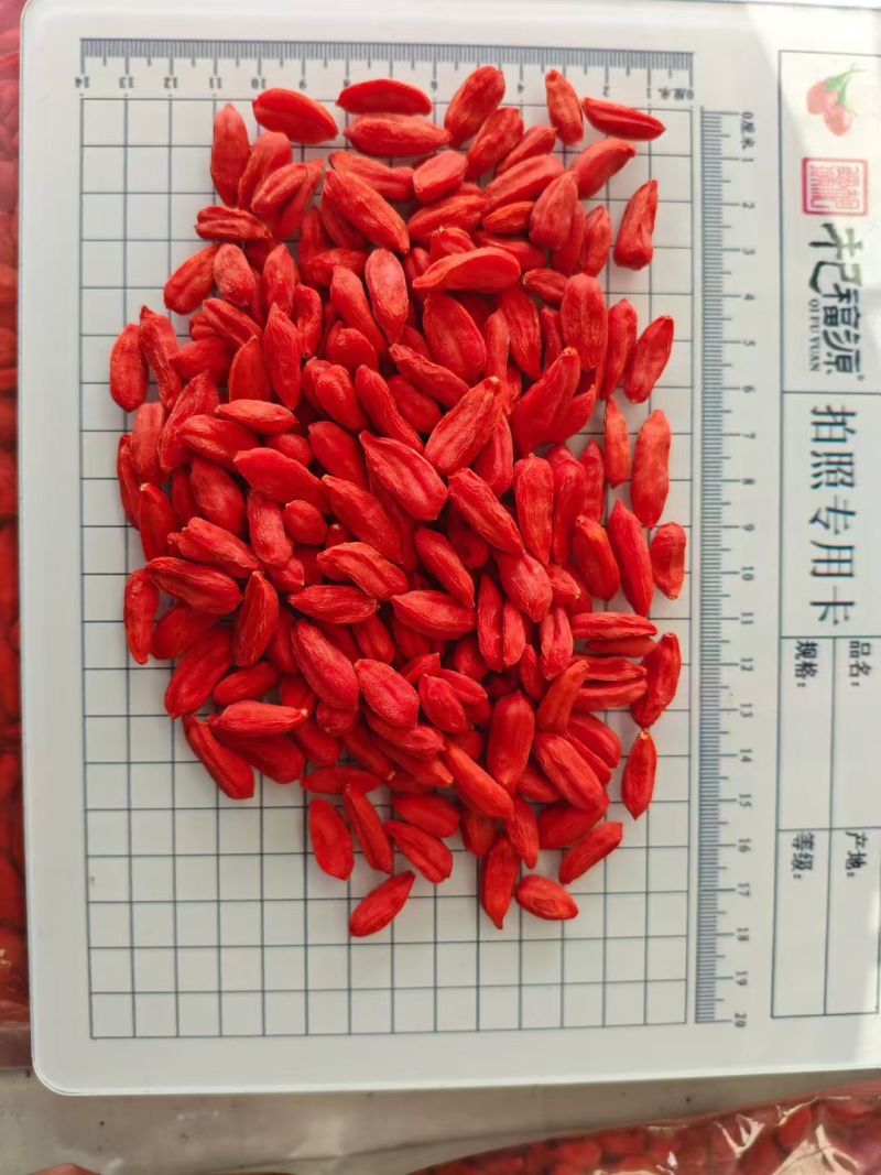 精选枸杞长期供货量大从优