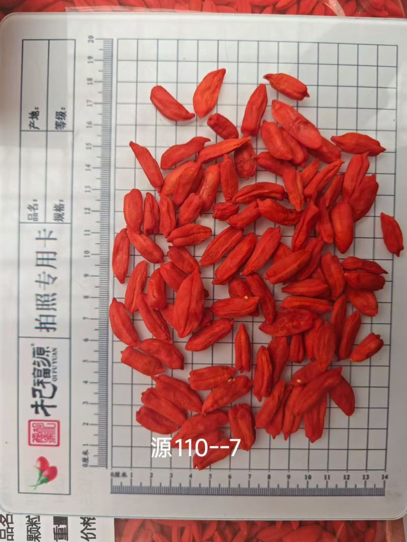 精选枸杞长期供货量大从优