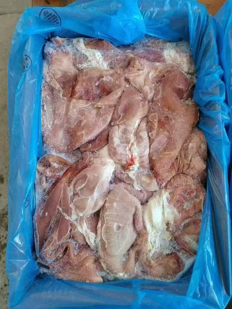 精修纯干猪肚大量现货量大从优