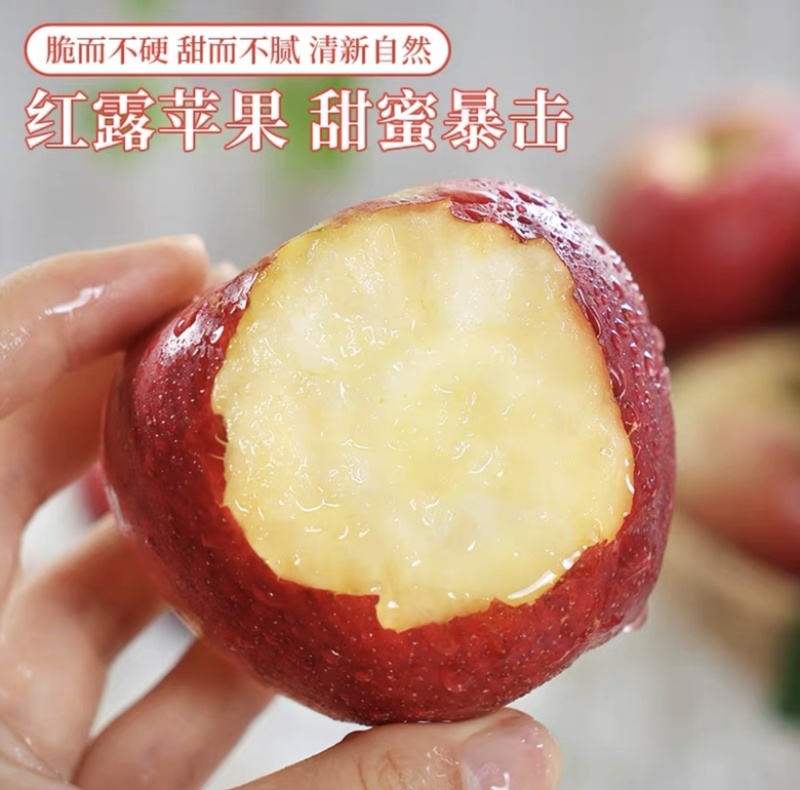 云南昭通红露苹果，新鲜当季，产地直达，量大从优！