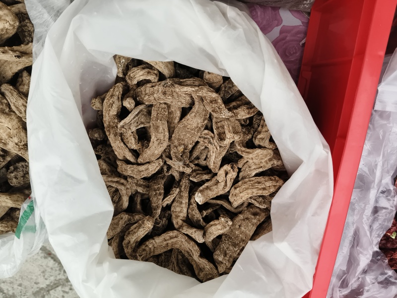 高山人工种植乌天麻，段木棒子菌丝栽培技术，自然凉晒无污染