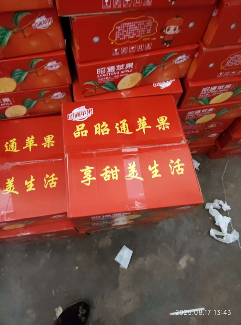 云南昭通红露苹果，新鲜当季，产地直达，量大从优！