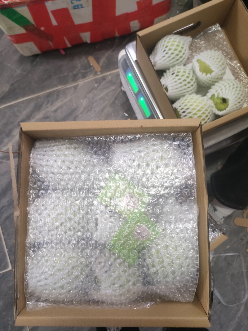 福建奶油芭乐软糯香甜泡沫箱装，礼盒装