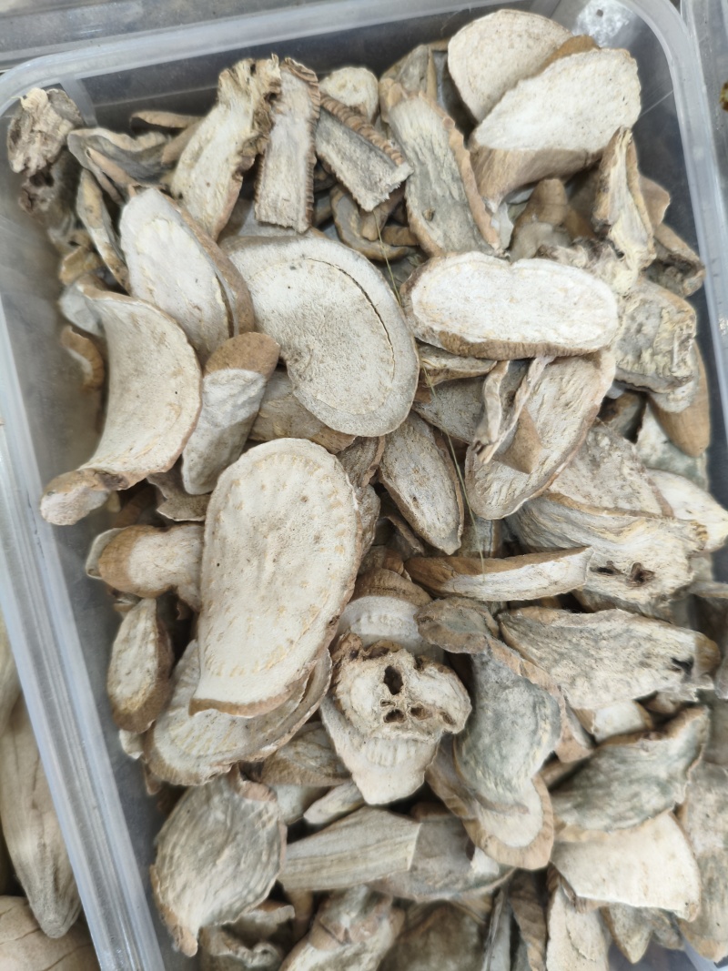 青阳参