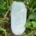 冬瓜河北白皮冬瓜大量上市，量大价格从优，欢迎来电咨询
