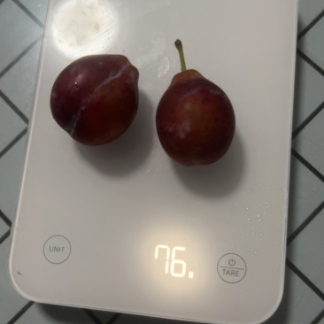 法兰西梅潍坊果园直供糖度高
