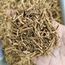 龙胆草