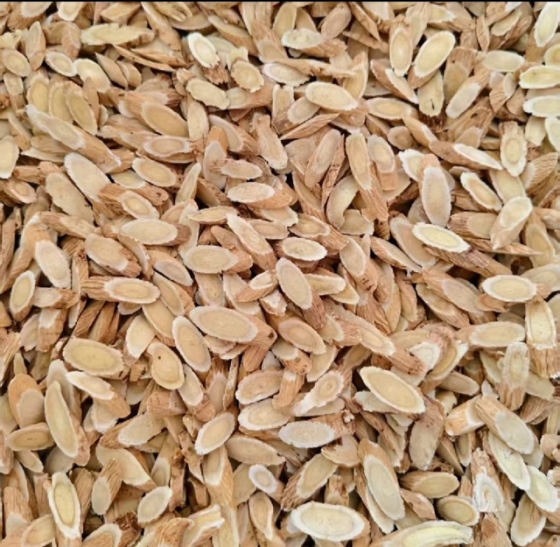 甘肃产地黄芪指甲片规格1.2m-1.5m精品货，量大从优