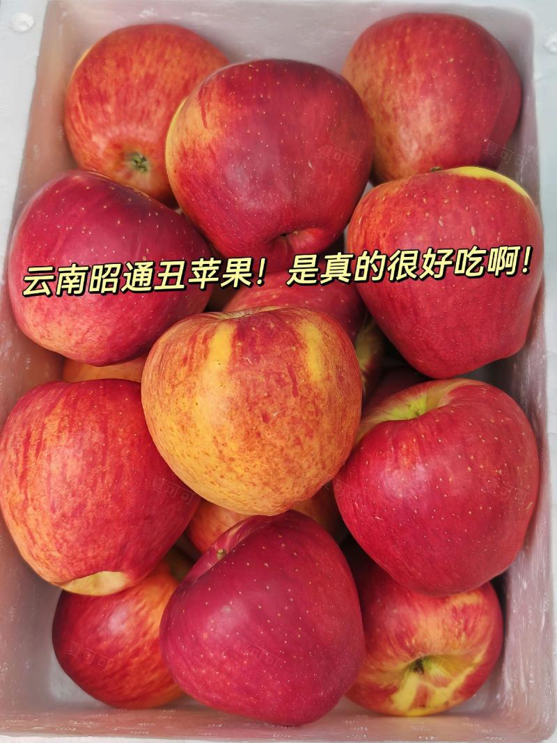 昭通苹果，一件代发，集采