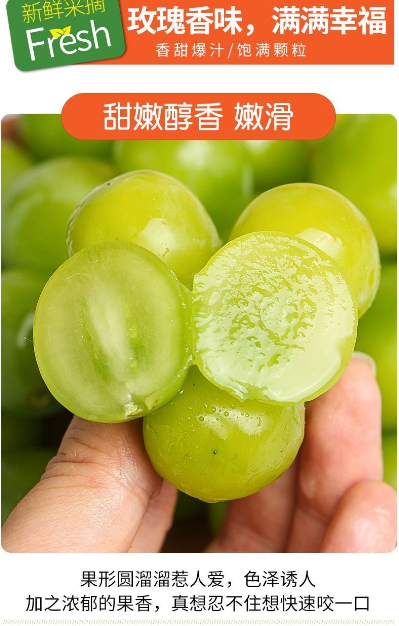 陕西精品葡萄-阳光玫瑰青提，个大口感好，一手货源量大价优