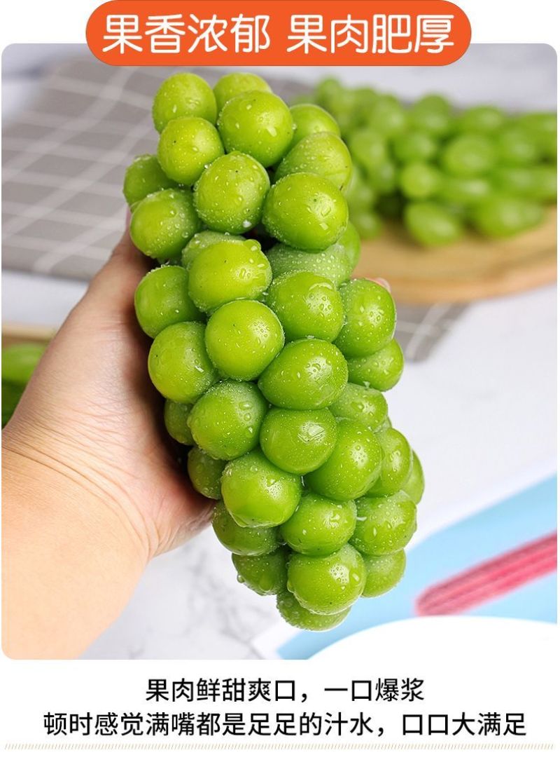 陕西精品葡萄-阳光玫瑰青提，个大口感好，一手货源量大价优