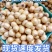 江西新货新鲜红莲子鲜莲子湿莲子米江西产地直发批发红莲子