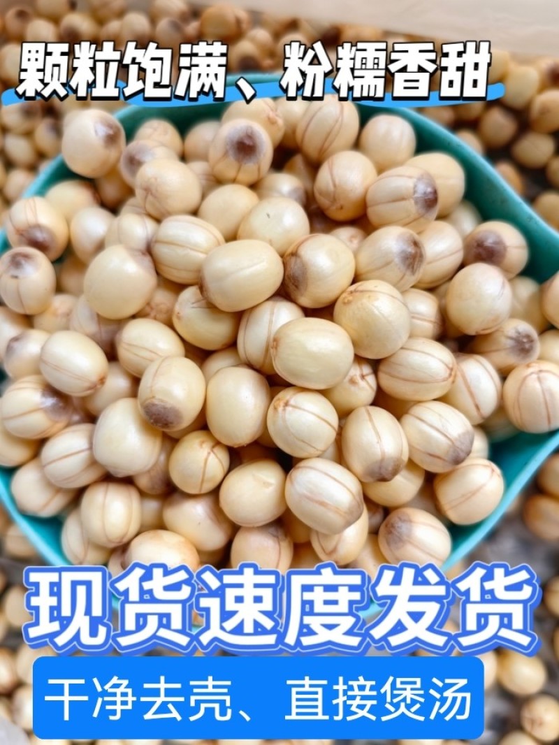 江西新货新鲜红莲子鲜莲子湿莲子米江西产地直发批发红莲子