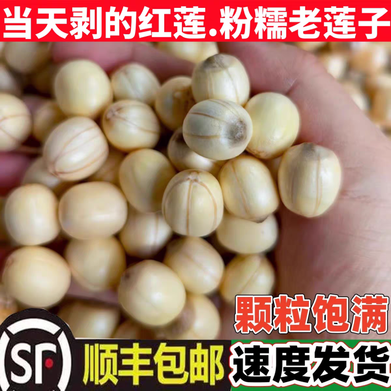 江西新货新鲜红莲子鲜莲子湿莲子米江西产地直发批发红莲子