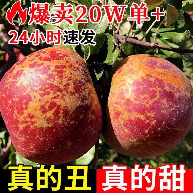 正宗四川盐源丑苹果