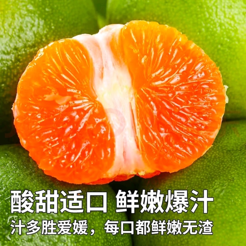 云南青皮蜜橘支持一件代发