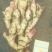 新鲜子姜上市