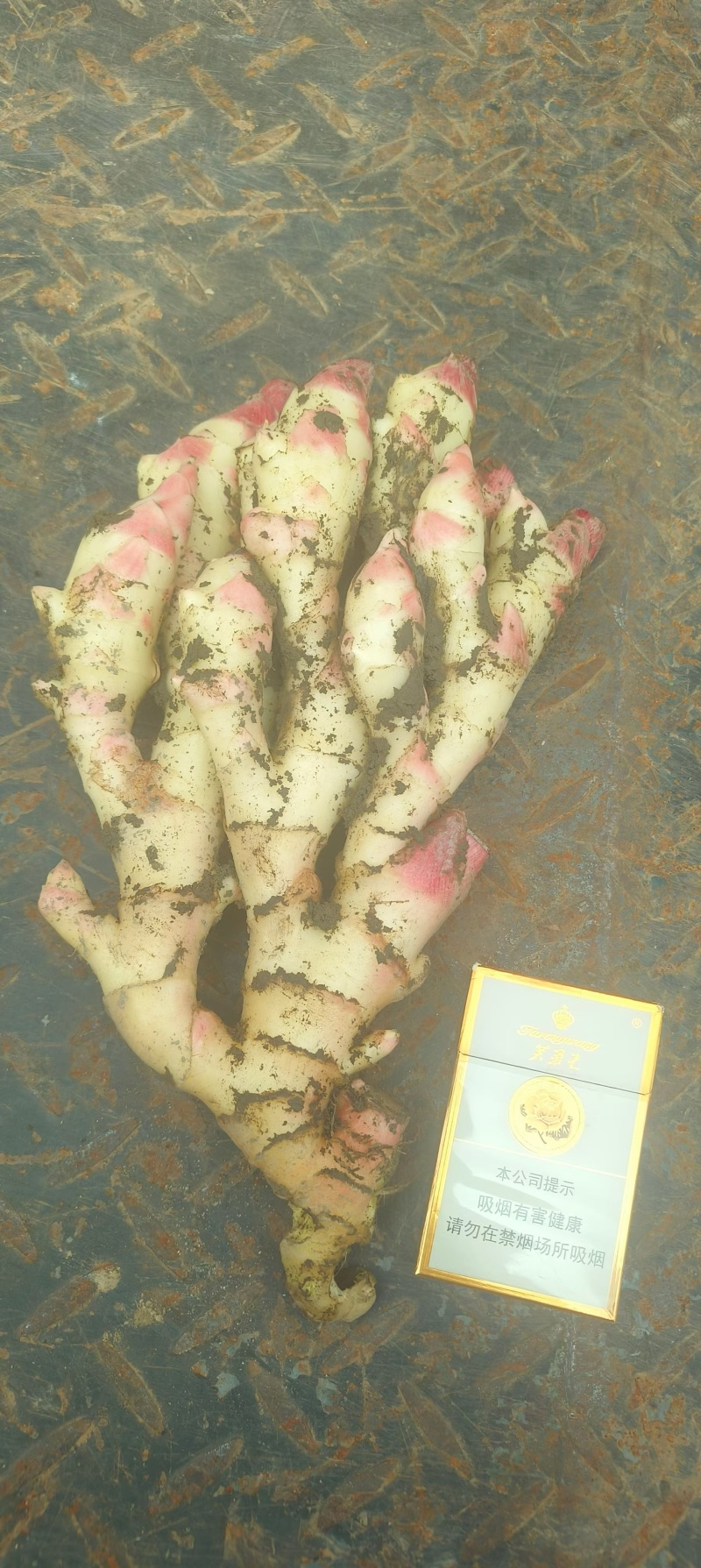 新鲜子姜上市