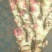 新鲜子姜上市