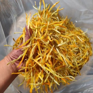 祁东干黄花菜农家自晒无硫金针菜天然干货