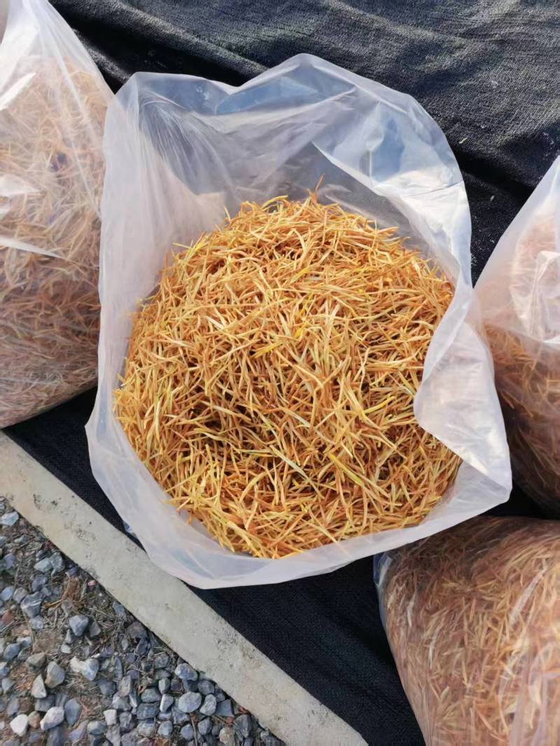 祁东干黄花菜农家自晒无硫金针菜天然干货